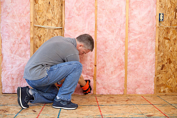 Best Spray Foam Insulation  in Trempealeau, WI